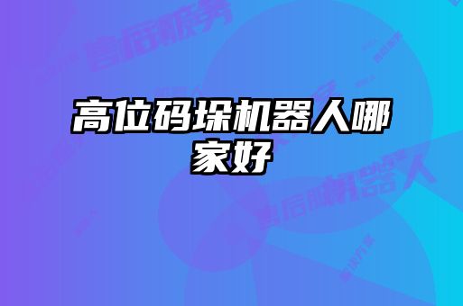 高位碼垛機(jī)器人哪家好