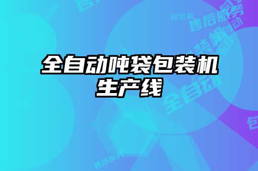 全自動噸袋包裝機生產線